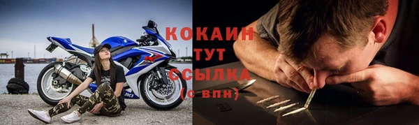 гашик Касимов