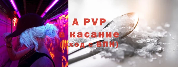 гашик Касимов