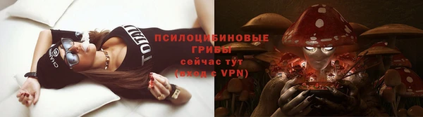 гашик Касимов
