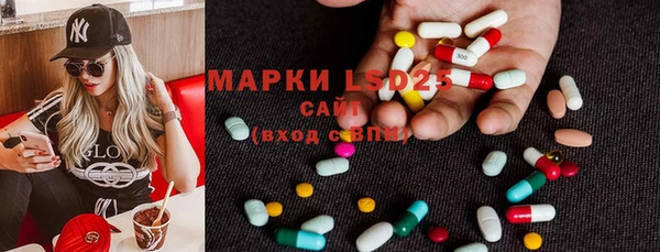 гашик Касимов