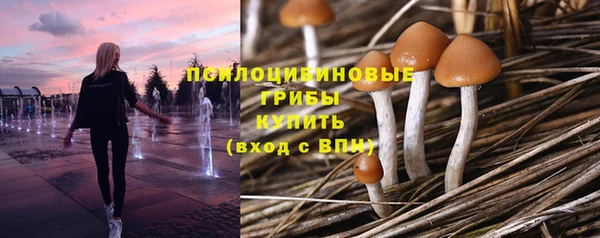 альфа пвп Карпинск