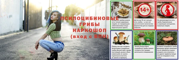 гашик Касимов