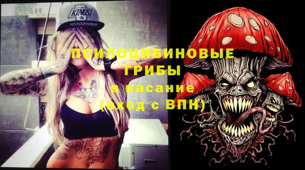 сатива Волоколамск